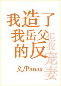 我造了我岳父的反
