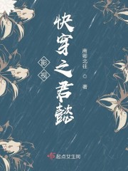 万域大能