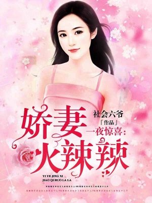 一夜惊喜:娇妻火辣辣