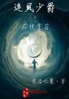 ׷���پ�֮ʯ����̦