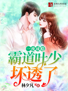 一夜成瘾:霸道叶少坏透了