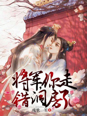 将军,你走错洞房了