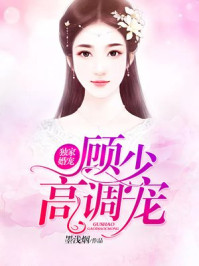 独家婚宠:顾少,高调宠