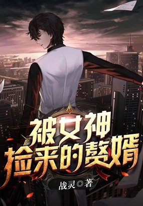 被女神捡来的赘婿