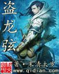 盗龙弦