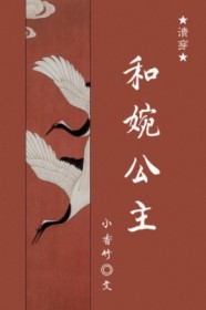 清穿之和婉公主