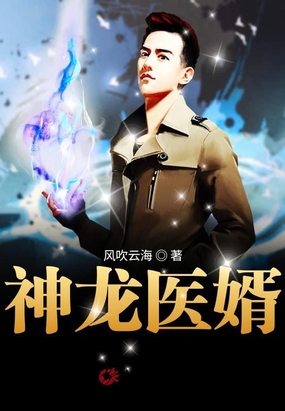神龙医婿