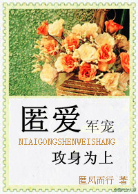 匿爱,攻身为上(军宠)