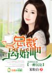 一醉沉沦,总裁离婚吧!