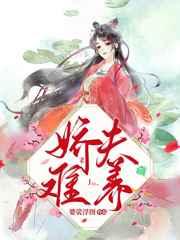 娇夫难养(女尊)