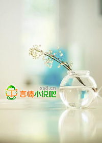 入赘总裁,别太坏