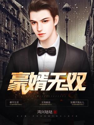 豪婿无双(上门龙婿)