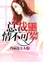 盛爱暖暖,总裁先生情不可攀