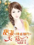 特惠婚约:甜妻买一送一