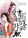 俏婢升职攻略