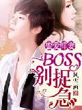 ۰ޣBOSS׽