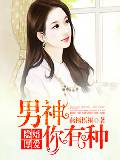 隐婚厚爱:男神你有种!