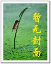 洛神天书