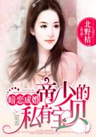 暗恋成婚:帝少的私有宝贝
