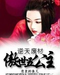逆天废材傲世五公主