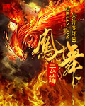 凤舞云端