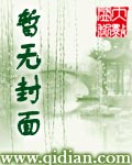 极品假太监