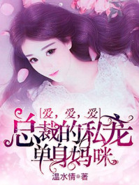 总裁的私宠:单身妈咪爱爱爱