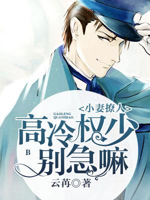 小妻撩人,高冷权少别急嘛
