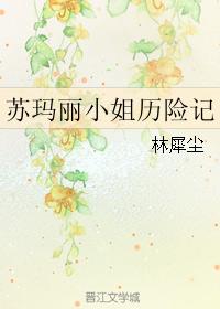 苏玛丽小姐历险记