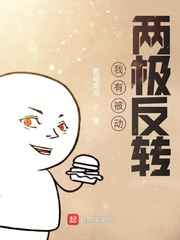 我有被动:两极反转