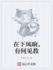 在下风晌,有何见教
