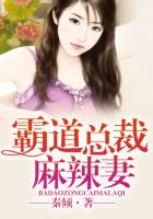 此情绵绵,霸道总裁麻辣妻
