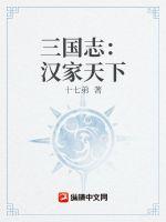 三国志:汉家天下