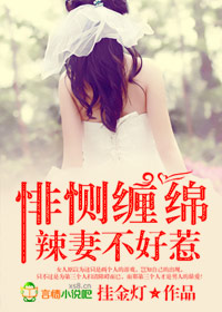 悱恻豪门,辣妻不好惹