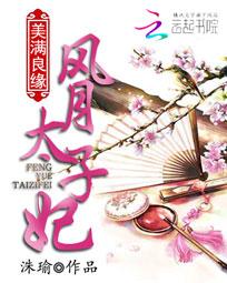 美满良缘:风月太子妃