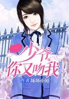 少爷你又吻我