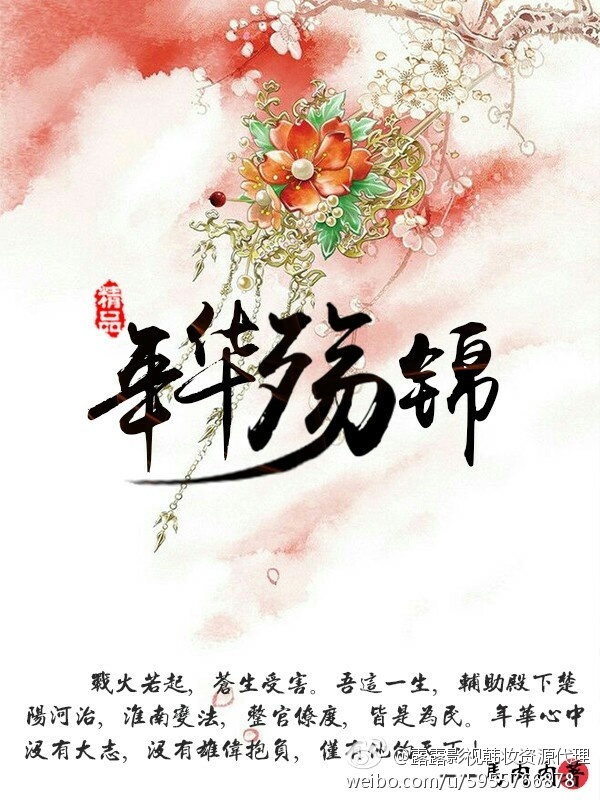 年华殇锦