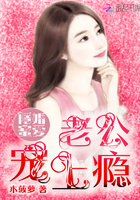 隐婚蜜爱:陵少撩妻100式
