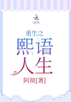 我的系统被抢了