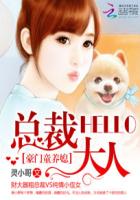 豪门童养媳:hello,总裁大人