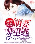 陆少来袭:萌妻哪里逃
