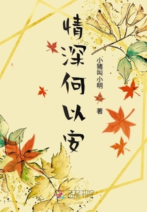 情深何以安
