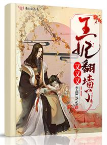 王妃又又又翻墙了