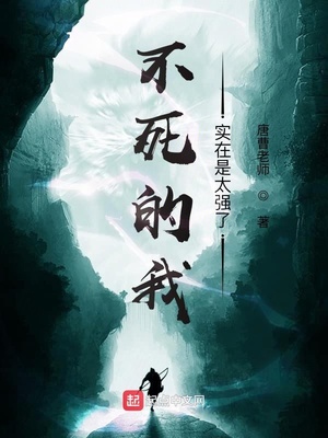 清穿四爷宠爱侧福晋